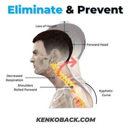 Back & Neck Relaxation Device